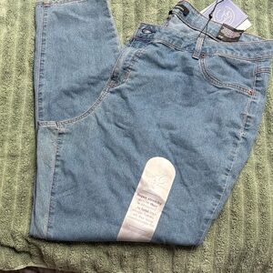 A3 Denim sz 20W classic skinny jean